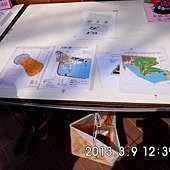 IMG_0318