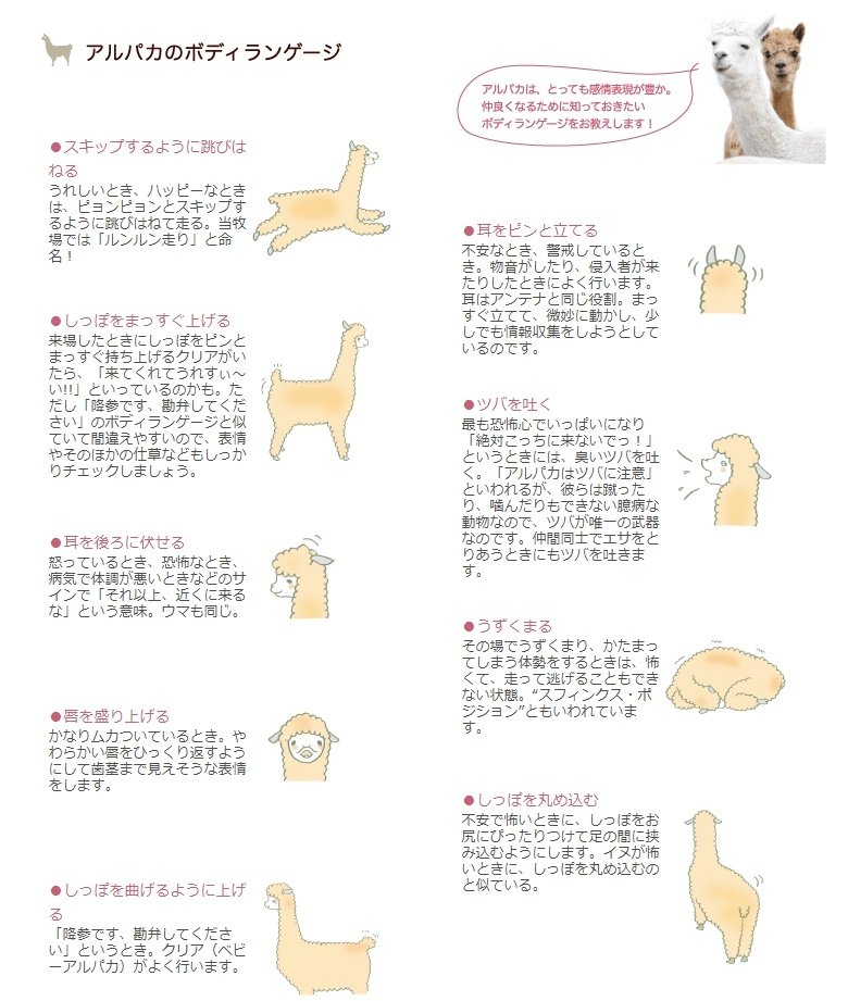那須アルパカ牧場