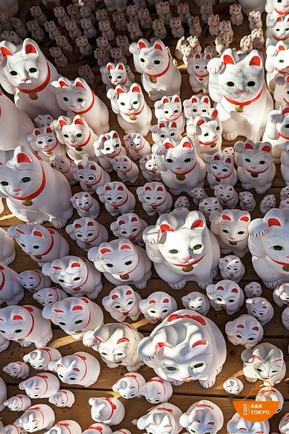 豪德寺