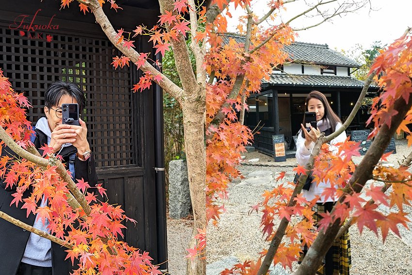 日本福岡Day2-逛新三郎商店 + 伊都の寿司にし川吃午餐