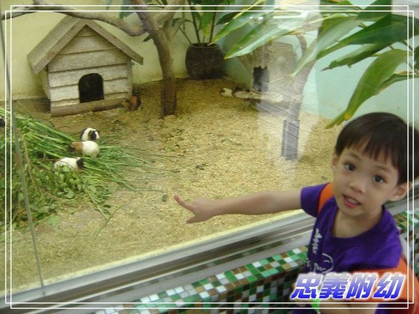 動物園戶外教學 (4).jpg