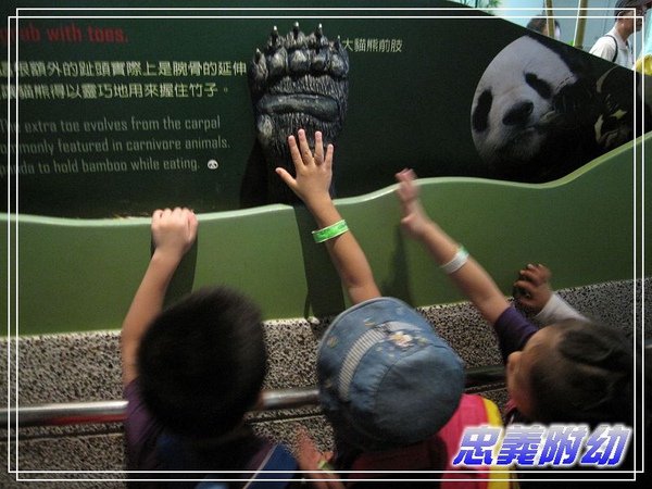 動物園戶外教學 (11).jpg
