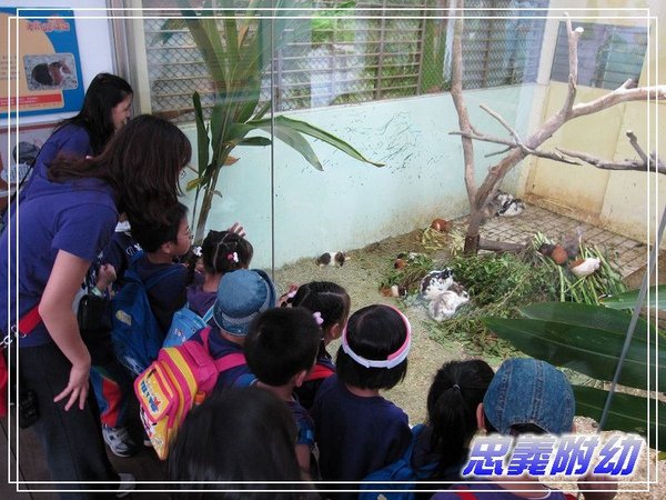 動物園戶外教學 (14).jpg