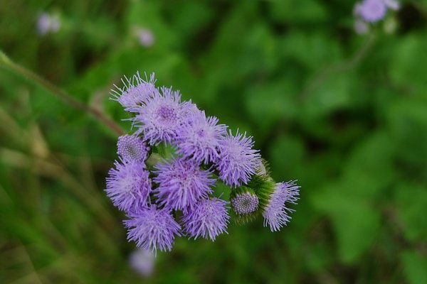 P1010114.JPG