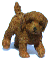 c-pu.gif