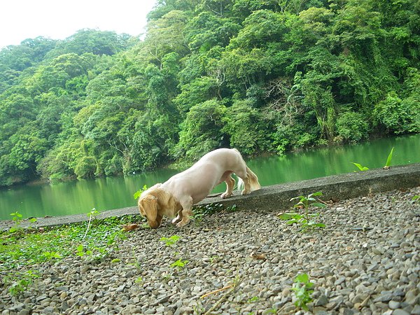 IMGP2258.JPG