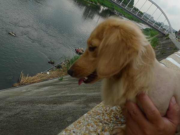 P1010097.JPG