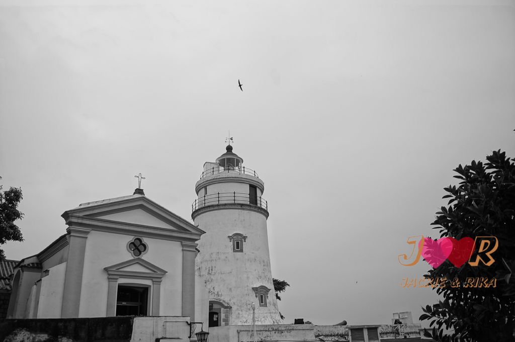DSC06331
