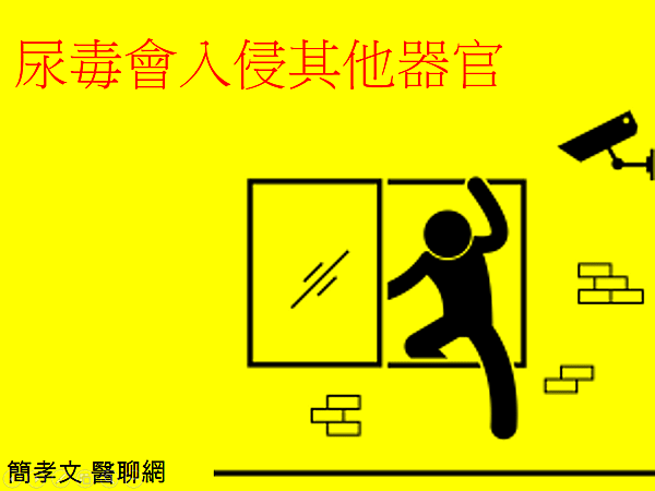 uremic toxins enter other organs.png