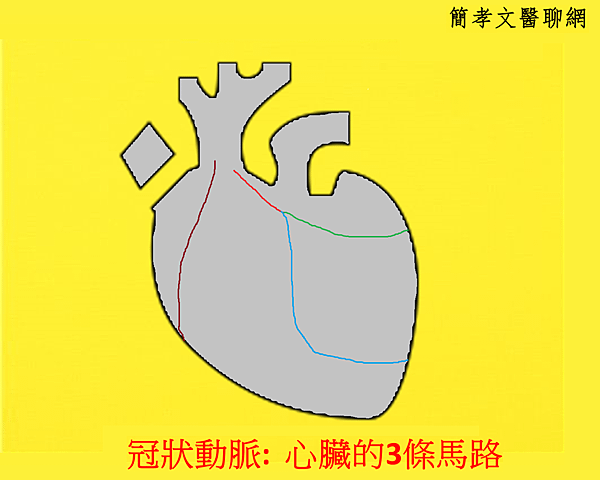 coronary_tree_2.png