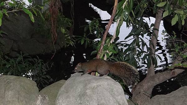 20171204介壽公園 010.JPG