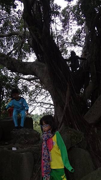 20171204介壽公園 012.JPG