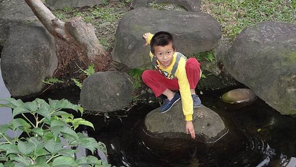 20171204介壽公園 015.JPG