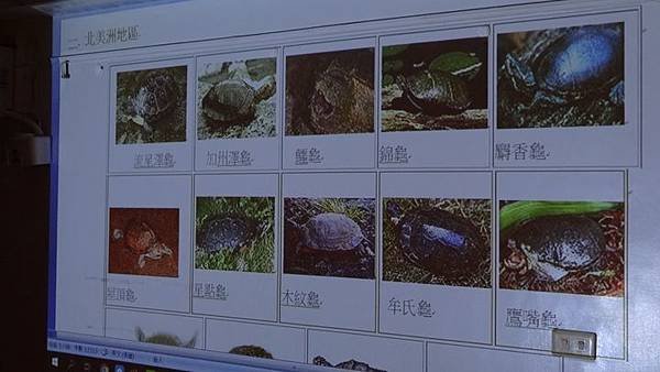 20181005 台灣本土龜鱉介紹與龜類健康狀況處置 033.JPG