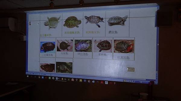 20181005 台灣本土龜鱉介紹與龜類健康狀況處置 034.JPG