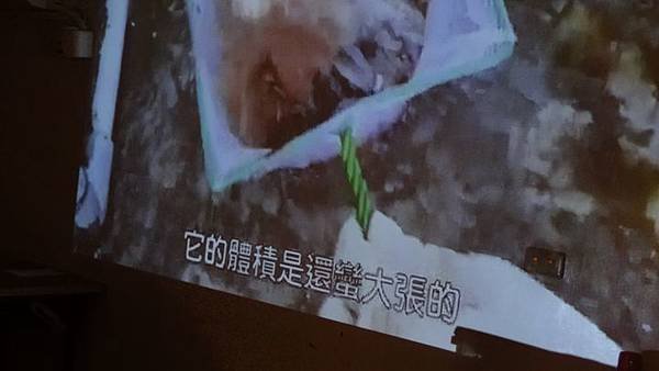 20181005 台灣本土龜鱉介紹與龜類健康狀況處置 048.JPG