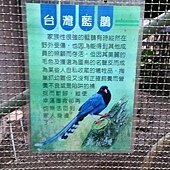 IMG_7448.jpg