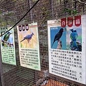 IMG_7453.jpg