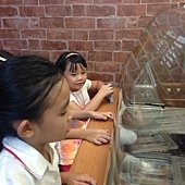 IMG_3688.jpg