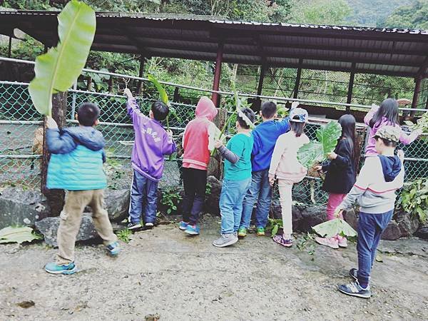 IMG20181117094240.jpg