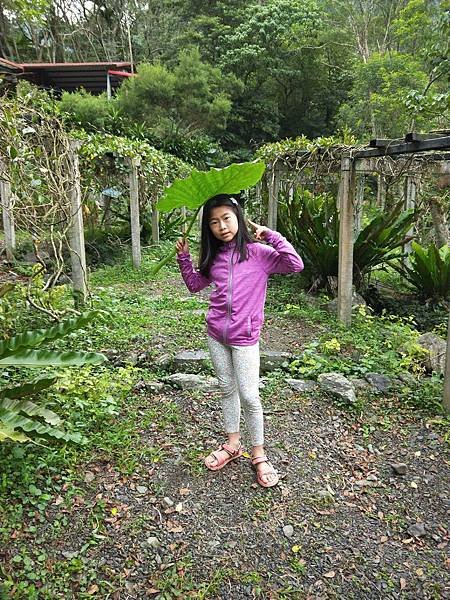 IMG20181117101011.jpg