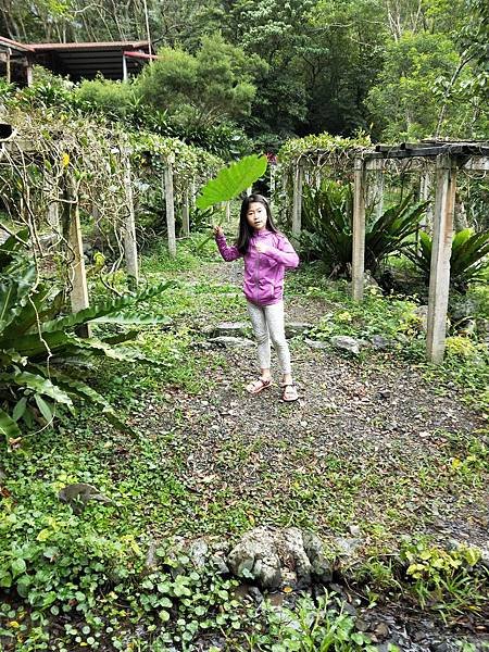 IMG20181117101006.jpg