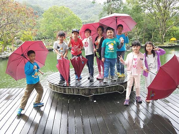 IMG20181117140140.jpg
