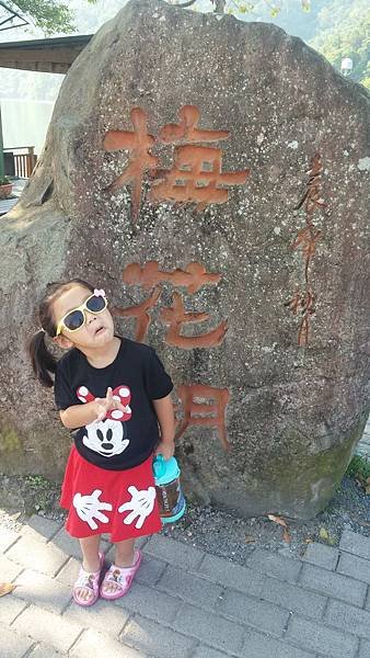 CAM03909