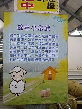 P1020793.JPG