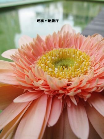 礁溪４４