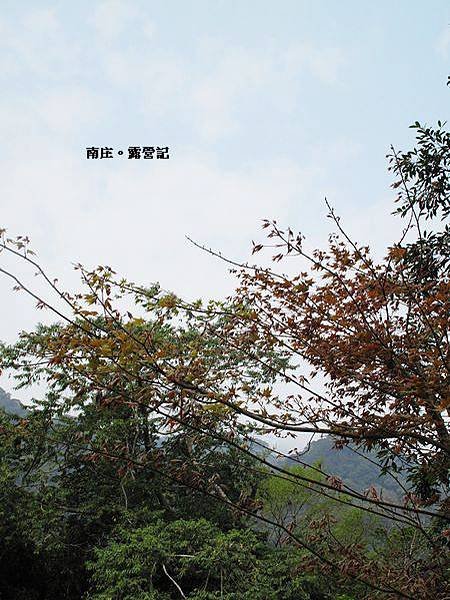 南庄露營２８.jpg