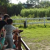 SAM_5069