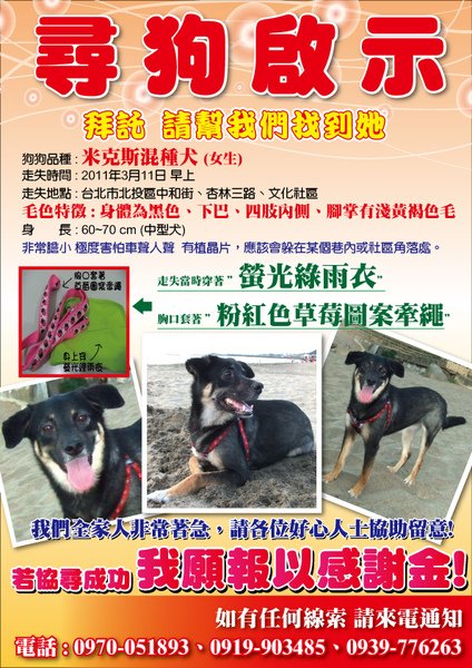 1000314-北投愛犬協尋-3.jpg