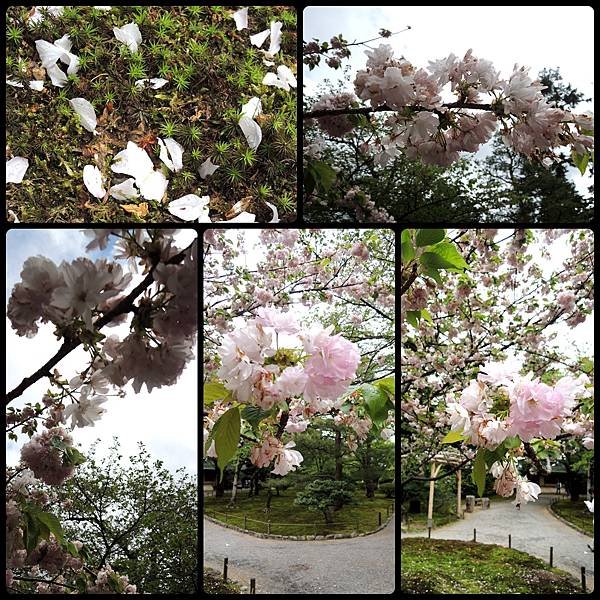 130501-20