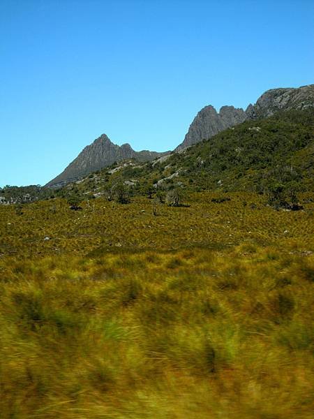 DSCN7975.JPG