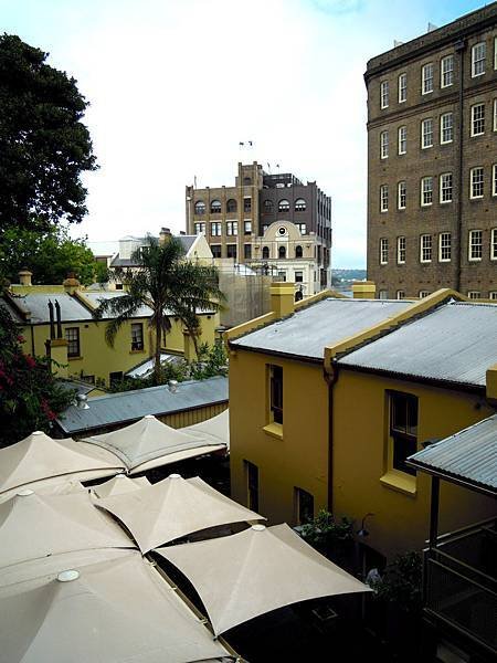 DSCN8523.JPG