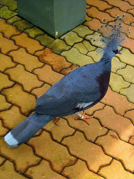 DSCN0241.JPG