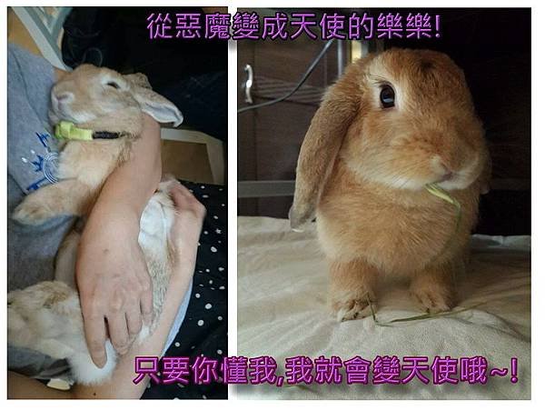 常潛水的霞，祝福大家新年快樂！來年順心！健康平安！