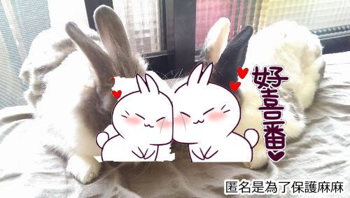 未命名 - 7.jpg