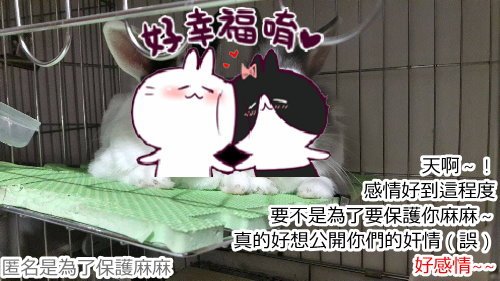 未命名 - 8.jpg