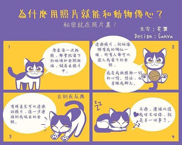 ◆倩◆推薦動物溝通師：您不用等倩！【2023/9/12更新】