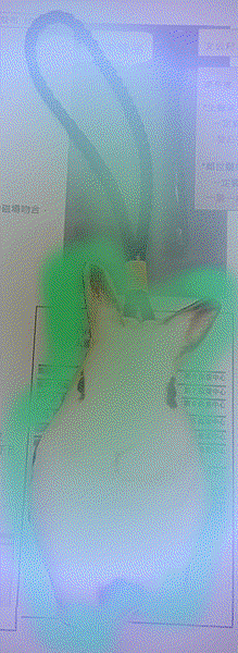 呈現.GIF