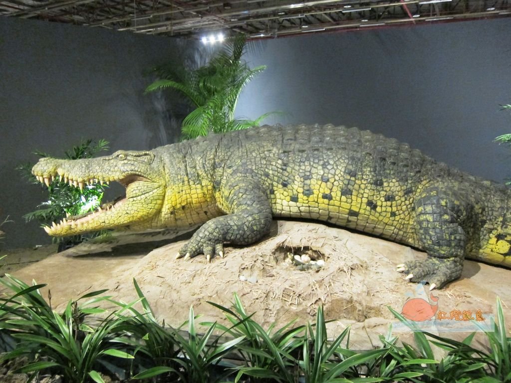IMG_4625_副本.jpg