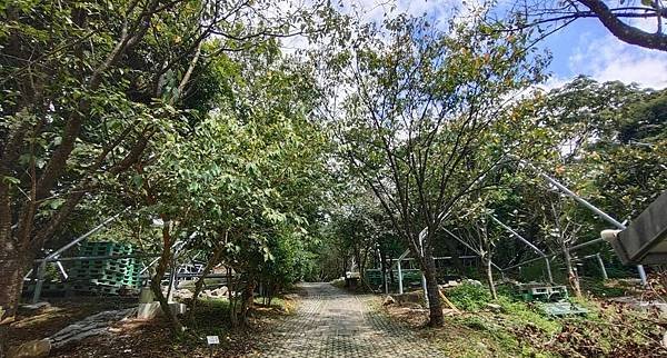 陽明山-030.jpg