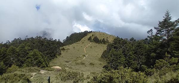 20200614_150424.jpg