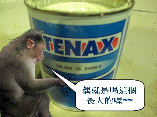 1 義大利TENAX膠.jpg