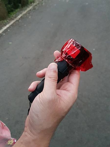 20190511_183602.jpg