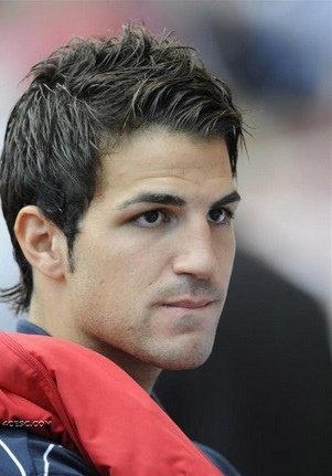 6.查斯克法布雷加斯Cesc Fabregas