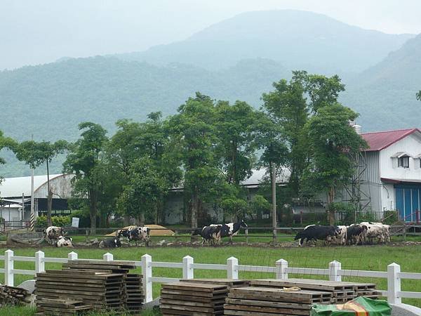 P1020839