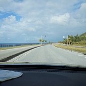 悠閒開車，前往水族館